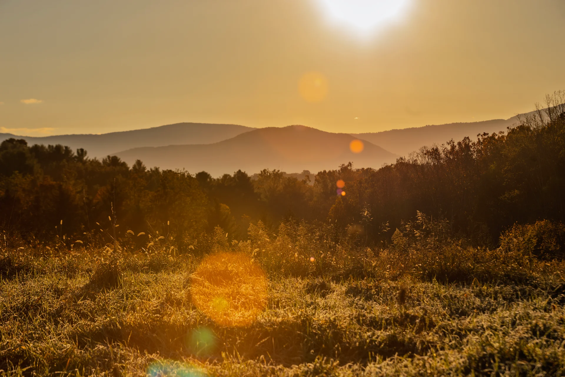 Massanutten scenic fall mountain sunset meadow 11